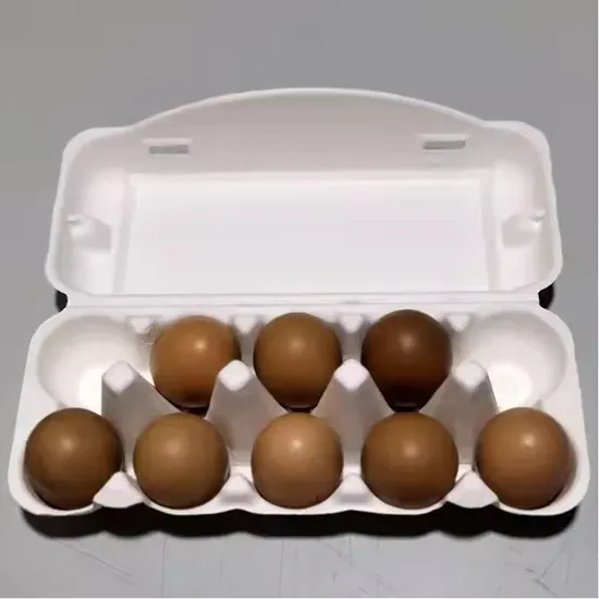Sustainable Egg Tray Solution with Perforated Paper Design