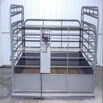 SCS-2t Animal scale