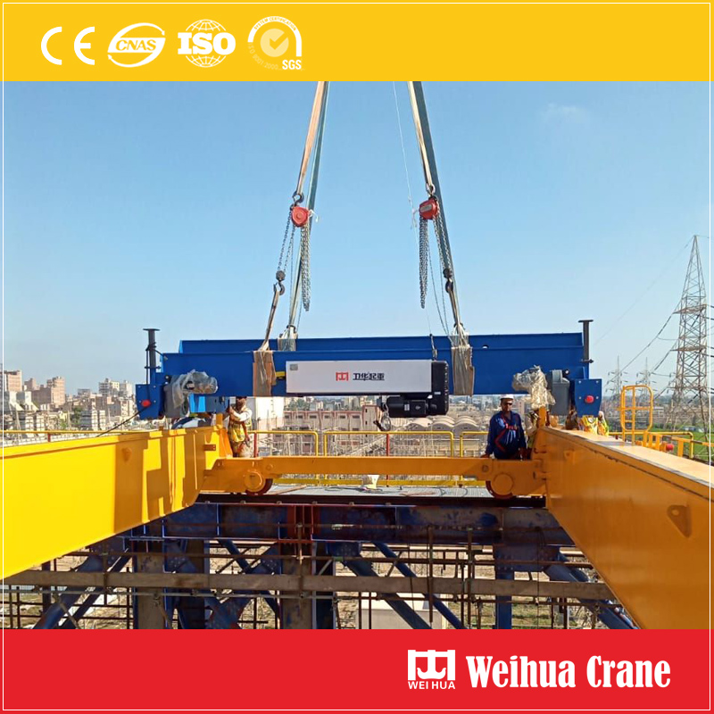 Europe Hoist Trolley Installation