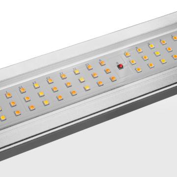 Led Grow Light per la crescita domestica Spedizione veloce