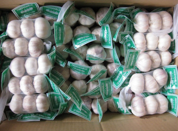 2014 China Normal White Garlic