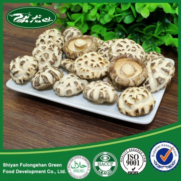 Market Prices for Mushroom Cultivation Dried white flower mushroom