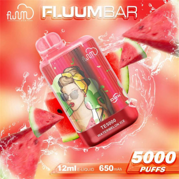 OEM vape pen fluum bar te5000 pod قابلة لإعادة الشحن