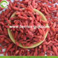 Best Quality Factory Supply Dried Ningxia Goji Berries