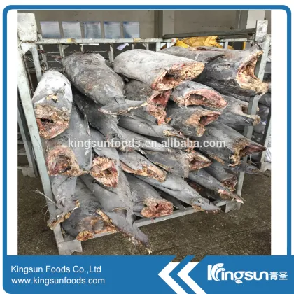 High quality frozen Black Marlin