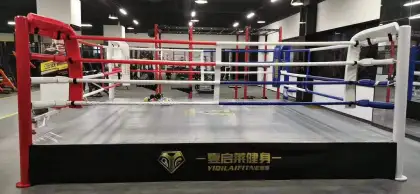 Professional Boxing Training Gym with Boxing Ring (With or Without Table)