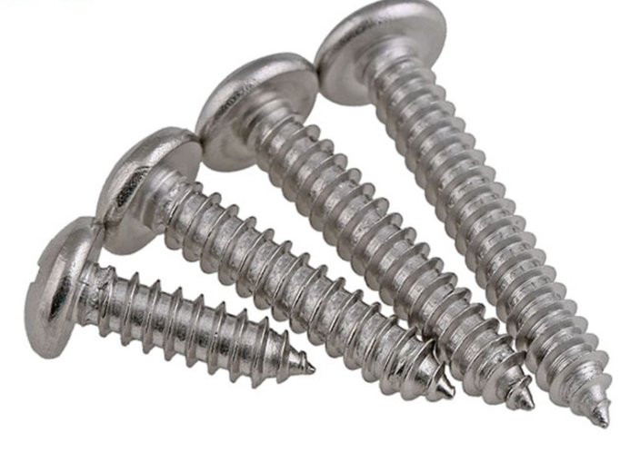 Stainless Steel 304 Philip Screws Sendiri Screw