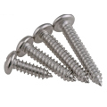 স্টেইনলেস স্টীল 304 ফিলিপ screws স্ব-টপিং স্ক্রু