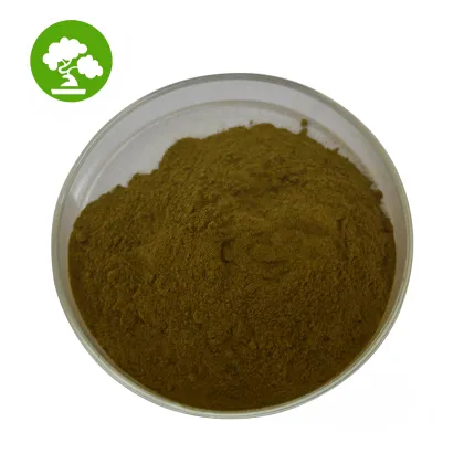 Nutrition Supplement Ceylon Cinnamon Powder/Cinnamon Extract