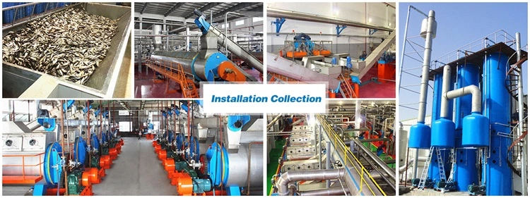 Coil Drier / Disc Drier / Disc Dryer for High Protein Fishmeal Production Line / Fishmeal Machine