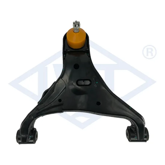 LWT Car Accessories Suspension Lower Control Arm for Mazda Ford BT-50 & Ford Ranger 4WD