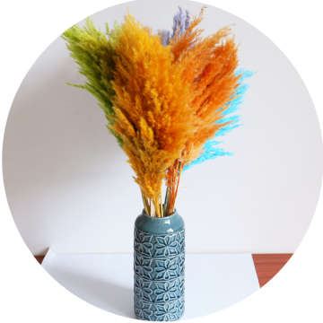 Colorful Fluffy Small Dried Pampas Grass for Bulk Wedding and Home Decor