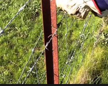 Green Painted Steel Star Post For Fencing