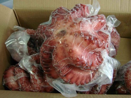 Big Size Frozen Flower Cooked Octopus