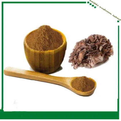 Maitake Mushroom Extract Powder 10:1