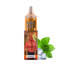 Randm tornado 10000 puffs oplaadbaar wegwerpbaar