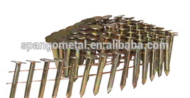 Coil roofing nails/ Roofing nails