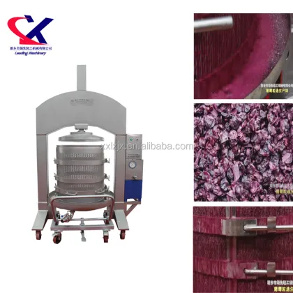 Grape Juice Machine for White Grape Juice Concentrate - Made in China