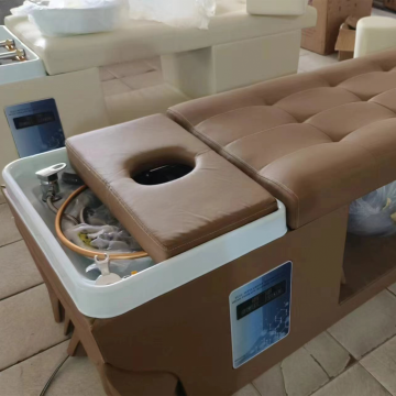 Comfortable Japanese Spa Head Multifunctional Hair Washing Beauty Bed
