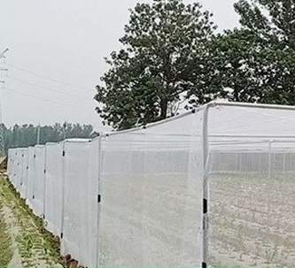 Rede de insetos de jardim 50mesh