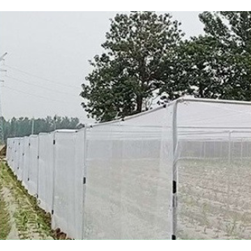 Rede de insetos de jardim 50mesh