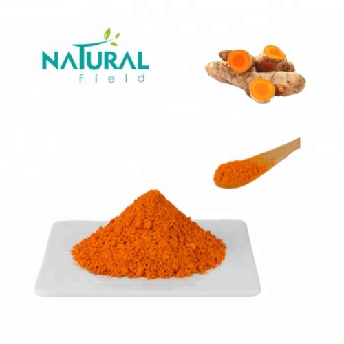 Anti-Inflammatory Best Quality Turmeric Root Extract Powder 95% Curcumin Manufactory