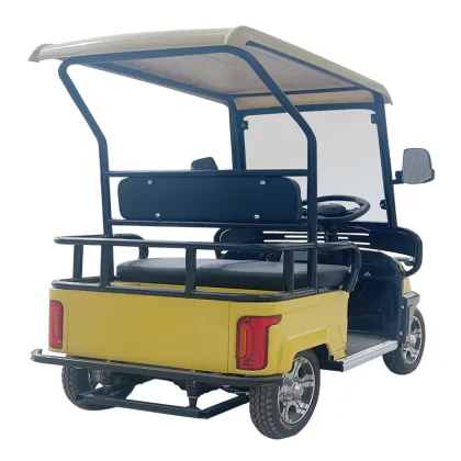 Isv Vehicle Electrique 2024: Mini Electric Golf Cart