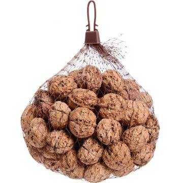 Nozes de casca roxa de Yunnan com casca, saco de malha de 500g