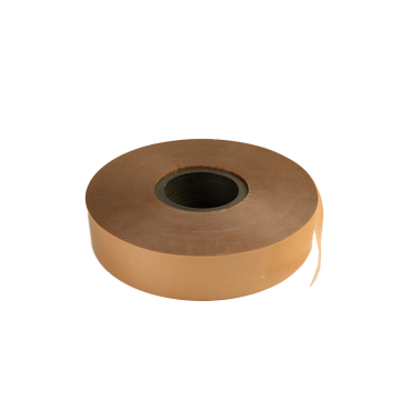 Electrical Insulating Polyester Film and Flexible Laminated Paper for Capacitors