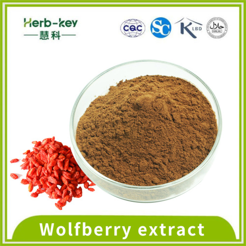 O extrato de Wolfberry contém 30% de polissacarídeo de Lycium barbarum