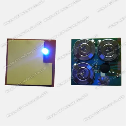 LED Battery Flashing light,flashing single led lights battery,LED lights