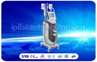 Body Care Cryolipolysis Slimming Machine For cellulite remo