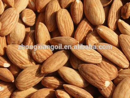 Best price brand cold pressed sweet almond oil