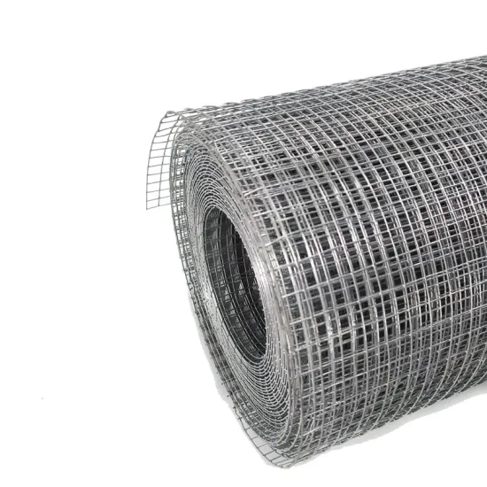 High Quality Hot Dipped Galvanized Steel Welded Rodent Mesh