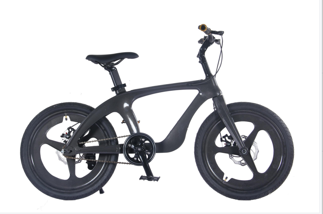 TW-39-1Magnesin Alaşım Öğrencileri Mountain Bike