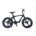 Tw-39-19-1Magnesinm Alloy StudentMoutain Bike