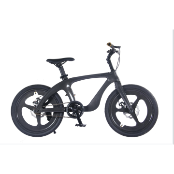 Tw-39-1Magnesinm Alloy Bike StudentsMountain Bike