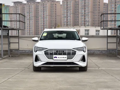 Luxury Electric SUV Guide: Focus on Audi E-tron