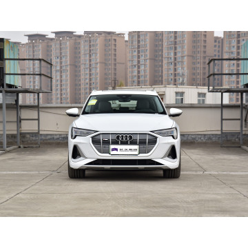 Vodič za luksuzni električni SUV: Fokus na Audi e-tron