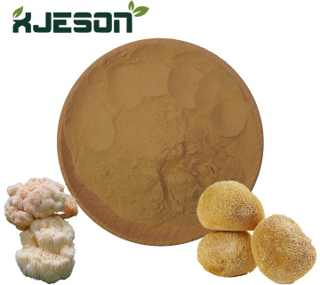 Organic Lion's Mane supplement