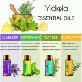Yidiola 10Pcs Pure Essential Oils Set 5ML Gift Box Kit Lavender Tea Tree Sandalwood Jasmine Diffuser Massage Aroma Diffuser Oil