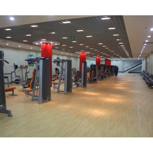 PVC Gym and fitness room floor