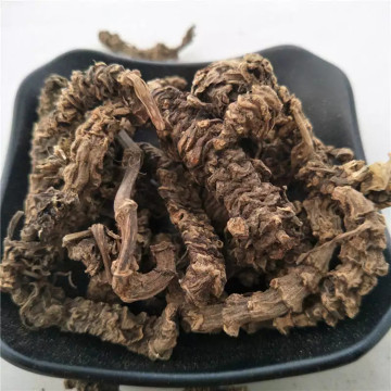 Healthcare Supplement Valerianic Acid0.8% Herbal Extract