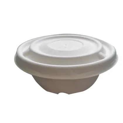 Disposable Bagasse Disposable 12oz Soup Cup Compostable