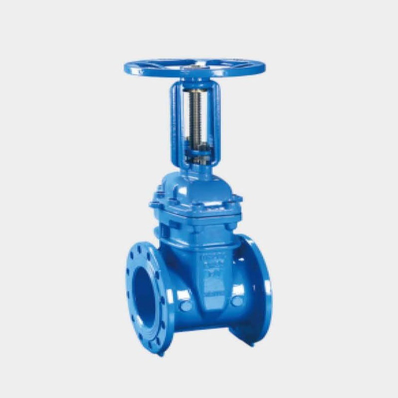 Z41x Rising Stem Elastic Seated Gate Valve