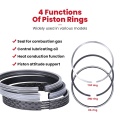 ອາໄຫລ່ TOICOOTA PASTOON PISTON AUNTON RIST 2C 13013-64150