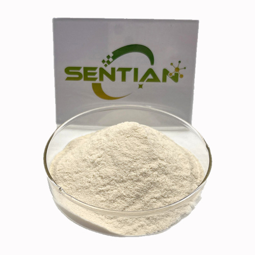 Premium Garcinia Extract