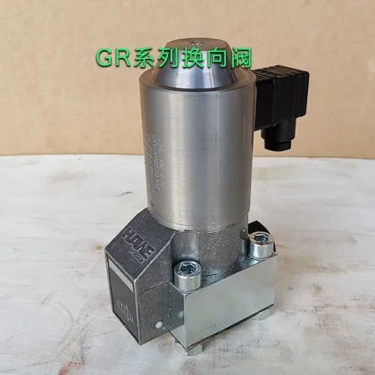 Hawe GR Series Hydraulic Valve GR2-12-XM 110 Solenoid Directional Valve - Hot Sale