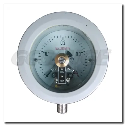 High quality aluminum body explosion proof electrical contact gauge