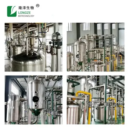 Magnolia Officinalis Extract Powder